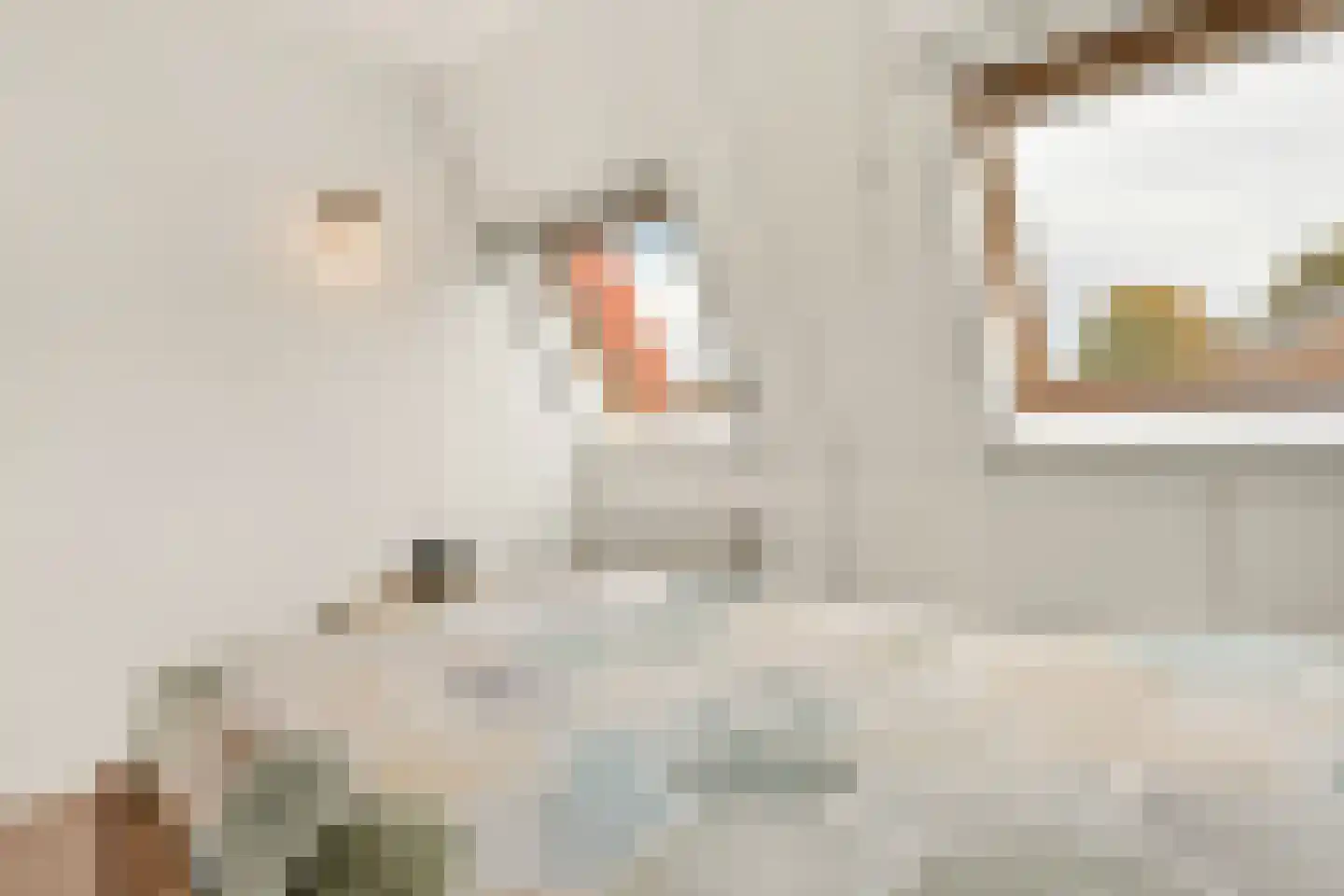 Zuster van Rossumweg 22 Emst thumbnail 15