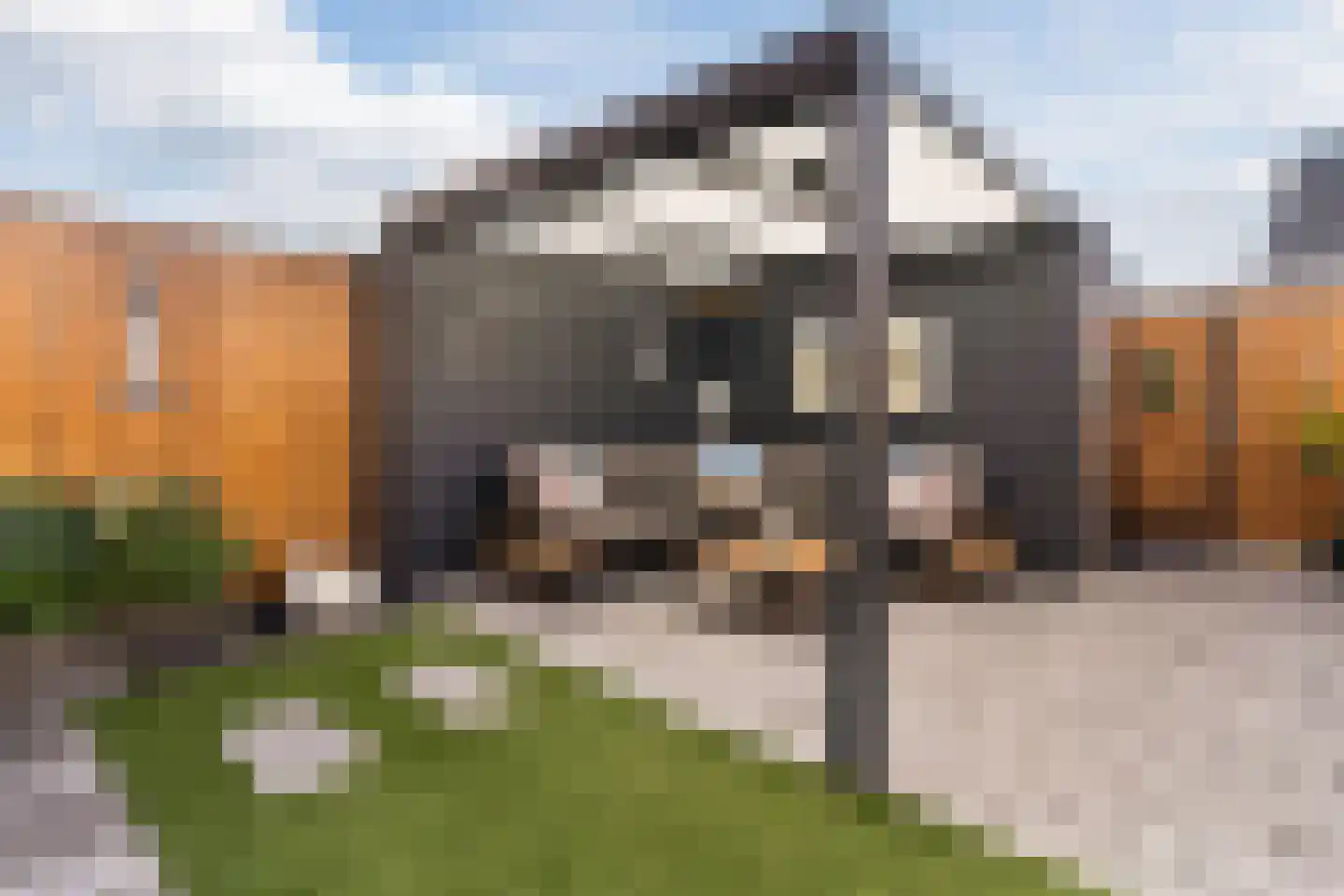 Zuster van Rossumweg 22 Emst thumbnail 22