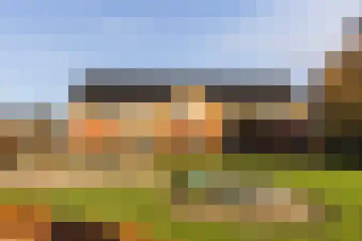 Zuster van Rossumweg 26 Emst thumbnail 28