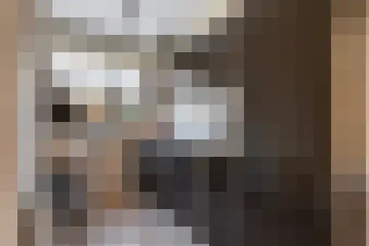 Zuster van Rossumweg 26 Emst thumbnail 7