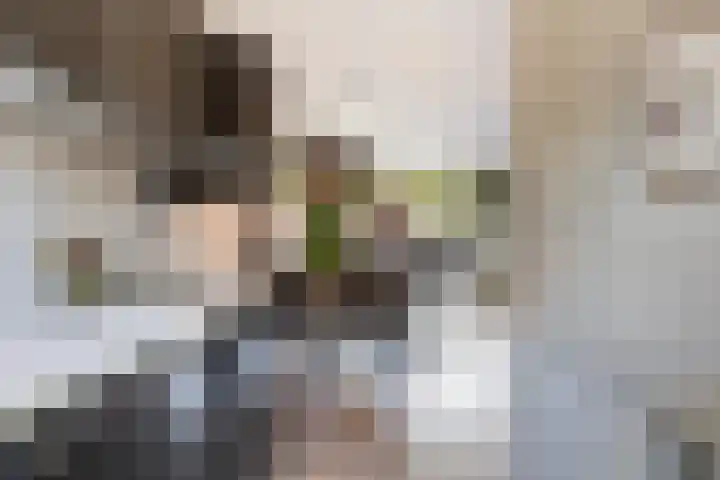 Zuster van Rossumweg 26 Emst thumbnail 9
