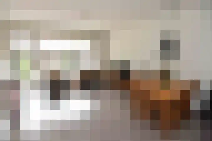 Zuster van Rossumweg 4 Emst thumbnail 13