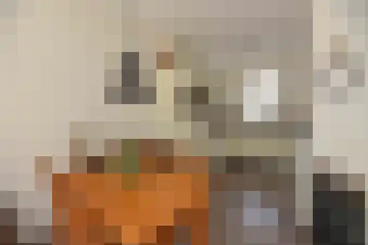 Zuster van Rossumweg 4 Emst thumbnail 17