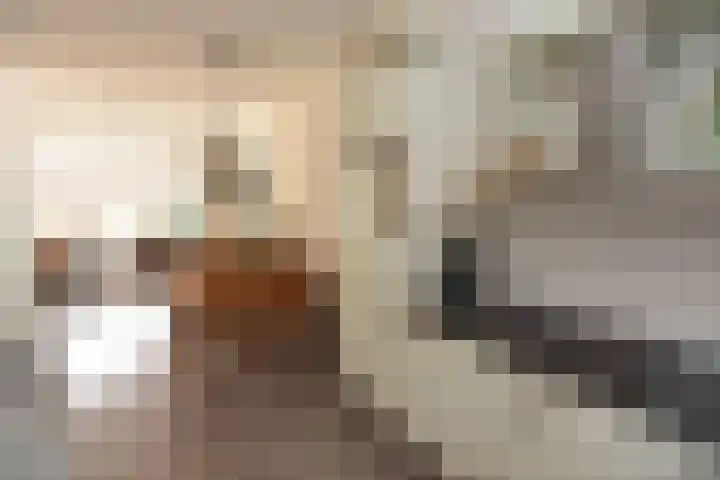 Zuster van Rossumweg 4 Emst thumbnail 19