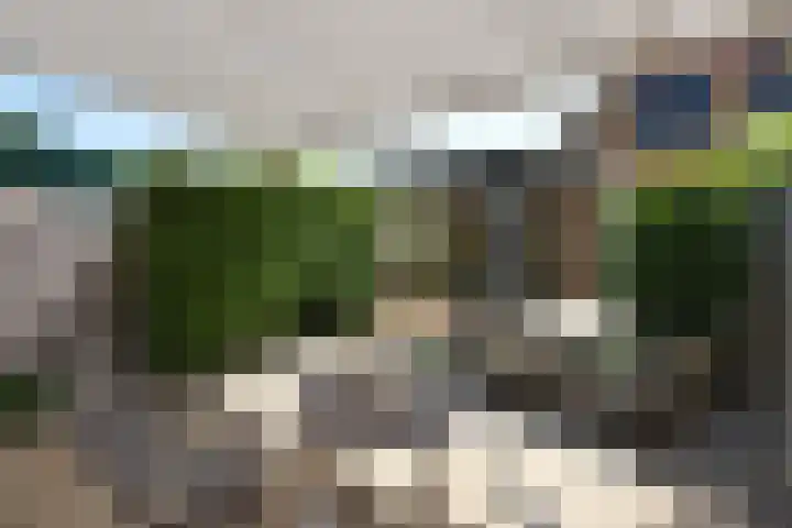 Zuster van Rossumweg 4 Emst thumbnail 4