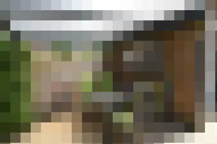 Zuster van Rossumweg 4 Emst thumbnail 6