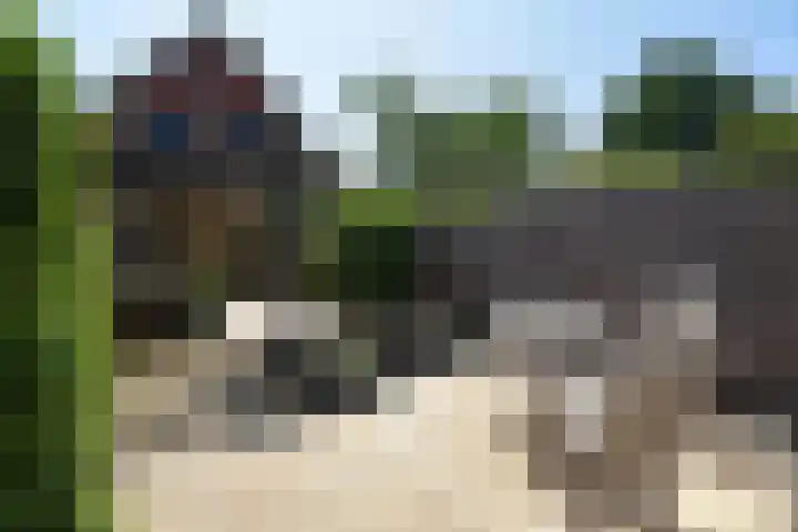 Zuster van Rossumweg 4 Emst thumbnail 7