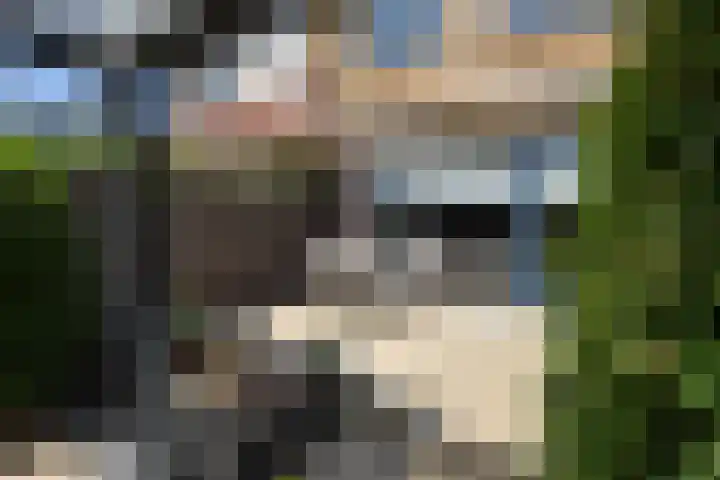 Zuster van Rossumweg 4 Emst thumbnail 8