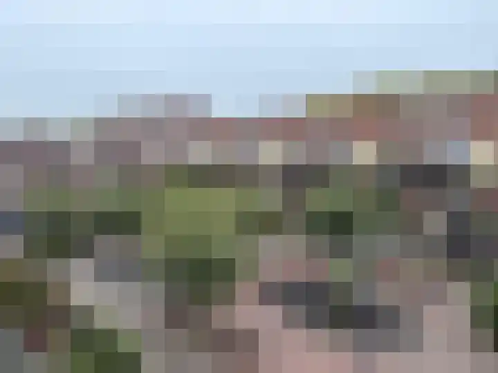 Zusterlaan 58 Delft thumbnail 12