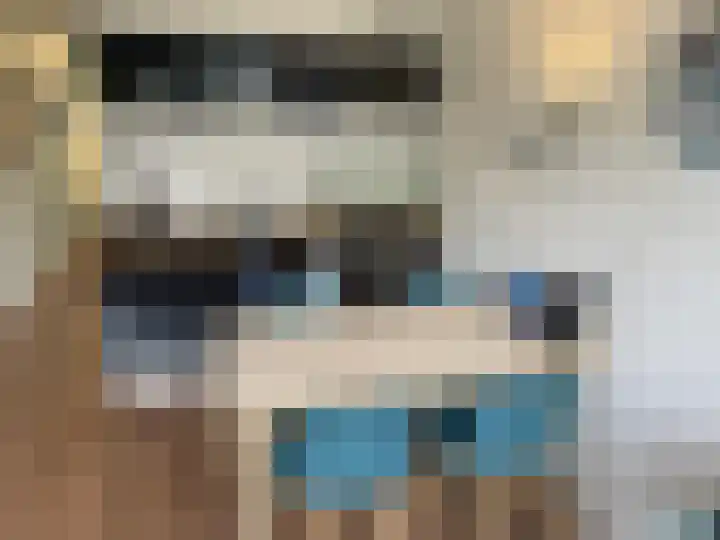 Zusterlaan 58 Delft thumbnail 5