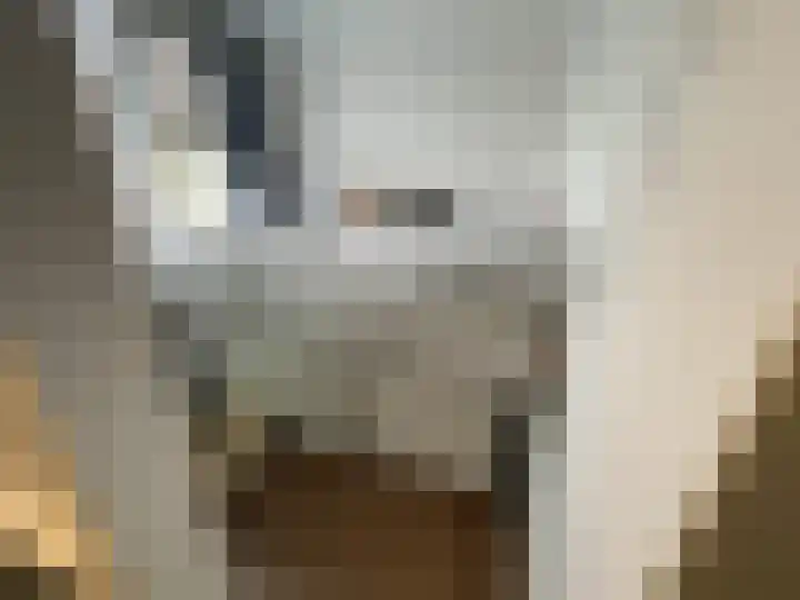 Zusterlaan 58 Delft thumbnail 8