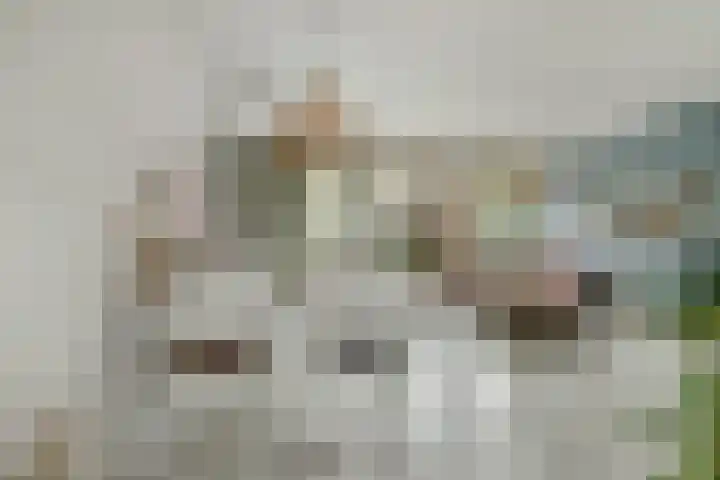 Zusters van Orthenpoort 16 's-Hertogenbosch thumbnail 11