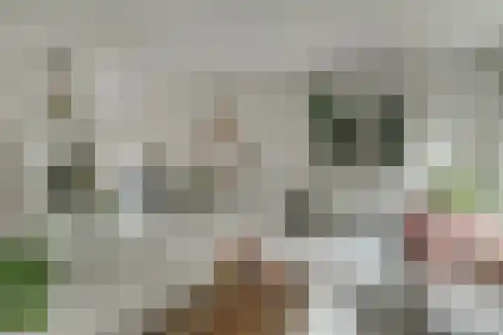 Zusters van Orthenpoort 16 's-Hertogenbosch thumbnail 12