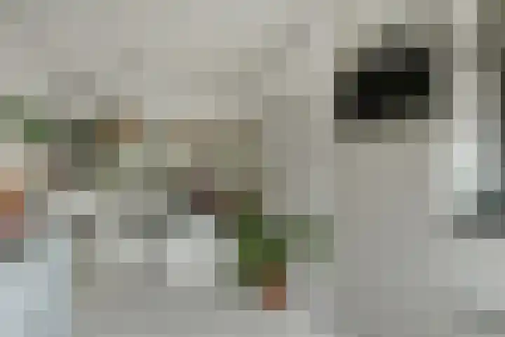 Zusters van Orthenpoort 16 's-Hertogenbosch thumbnail 15