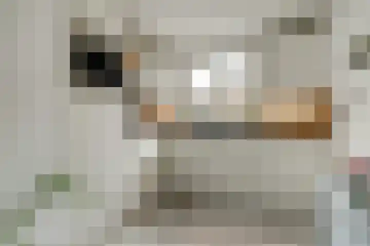 Zusters van Orthenpoort 16 's-Hertogenbosch thumbnail 17