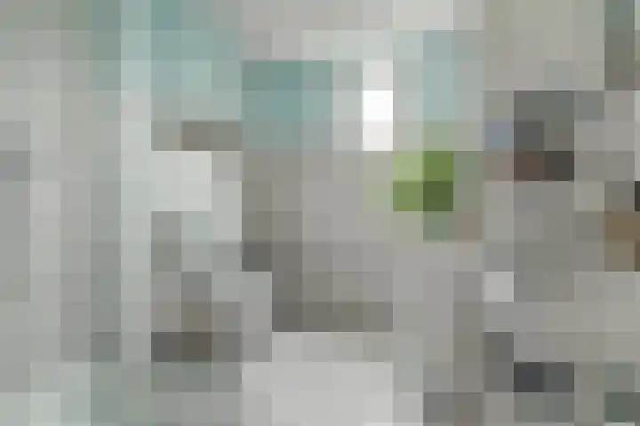 Zusters van Orthenpoort 16 's-Hertogenbosch thumbnail 23
