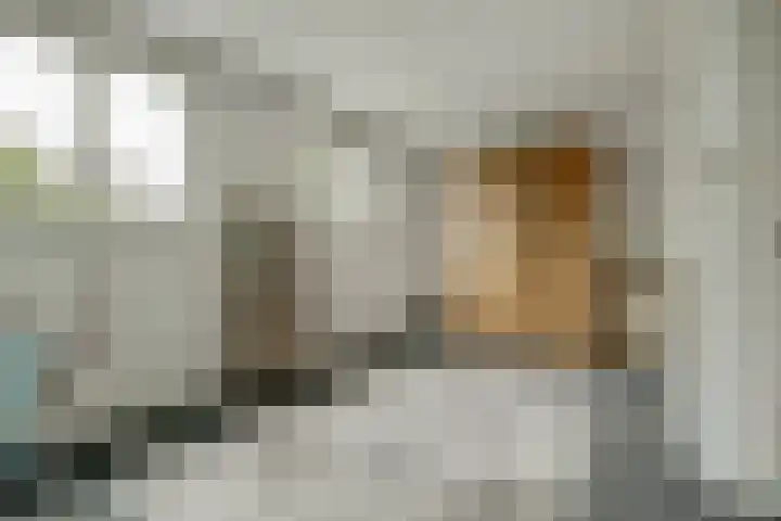 Zusters van Orthenpoort 16 's-Hertogenbosch thumbnail 26