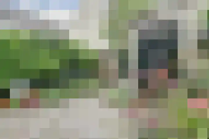 Zusters van Orthenpoort 16 's-Hertogenbosch thumbnail 33