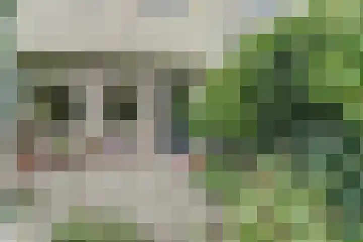 Zusters van Orthenpoort 16 's-Hertogenbosch thumbnail 34