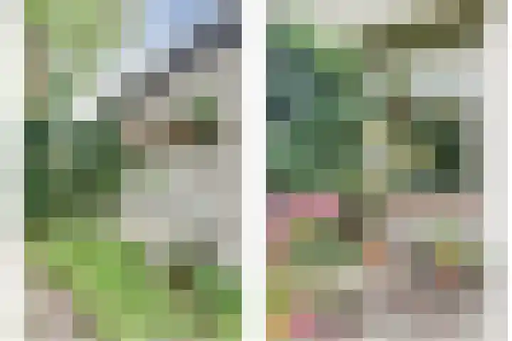 Zusters van Orthenpoort 16 's-Hertogenbosch thumbnail 35
