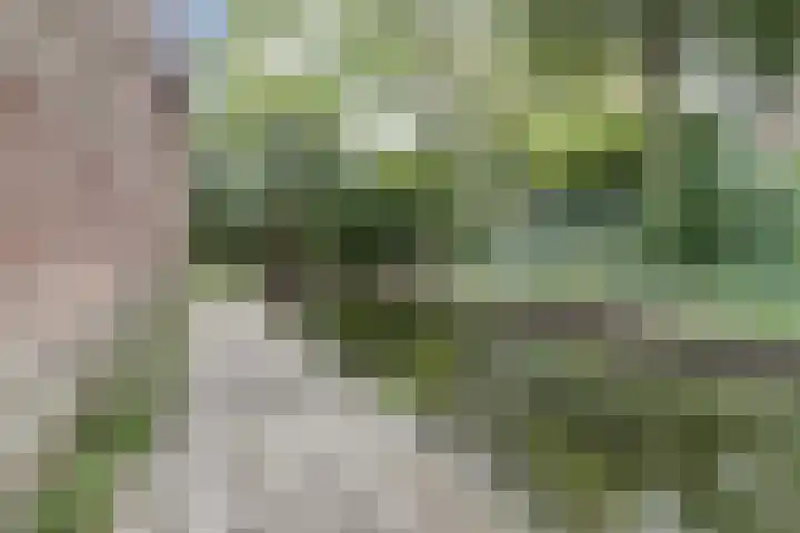 Zusters van Orthenpoort 16 's-Hertogenbosch thumbnail 39