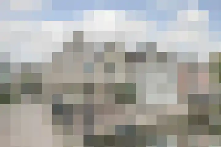 Zusters van Orthenpoort 16 's-Hertogenbosch thumbnail 6