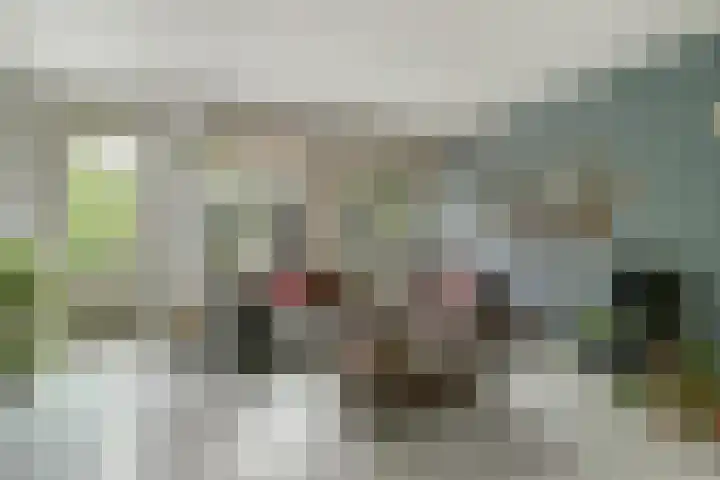 Zusters van Orthenpoort 16 's-Hertogenbosch thumbnail 7