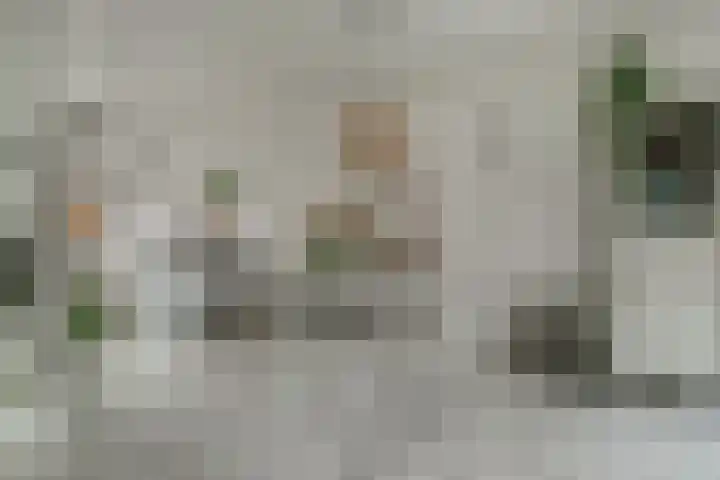 Zusters van Orthenpoort 16 's-Hertogenbosch thumbnail 9