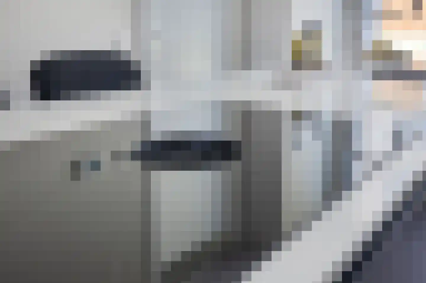 Zustershof 31 Oss thumbnail 21