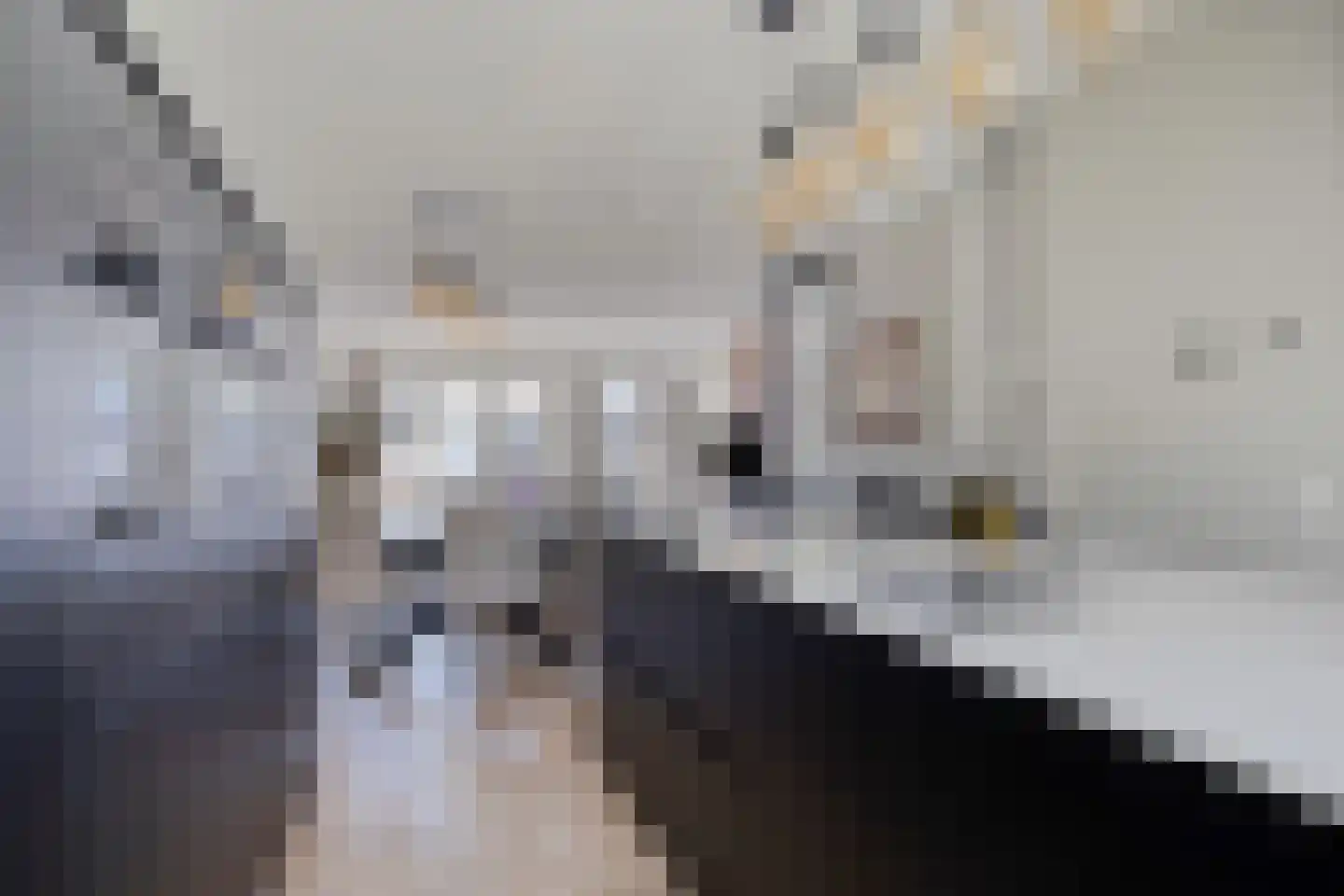 Zustershof 31 Oss thumbnail 24