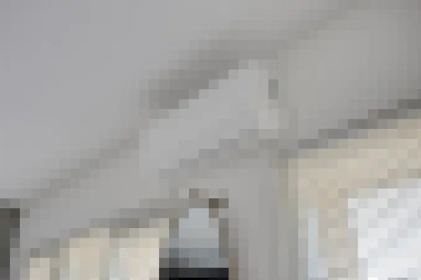 Zustershof 31 Oss thumbnail 28
