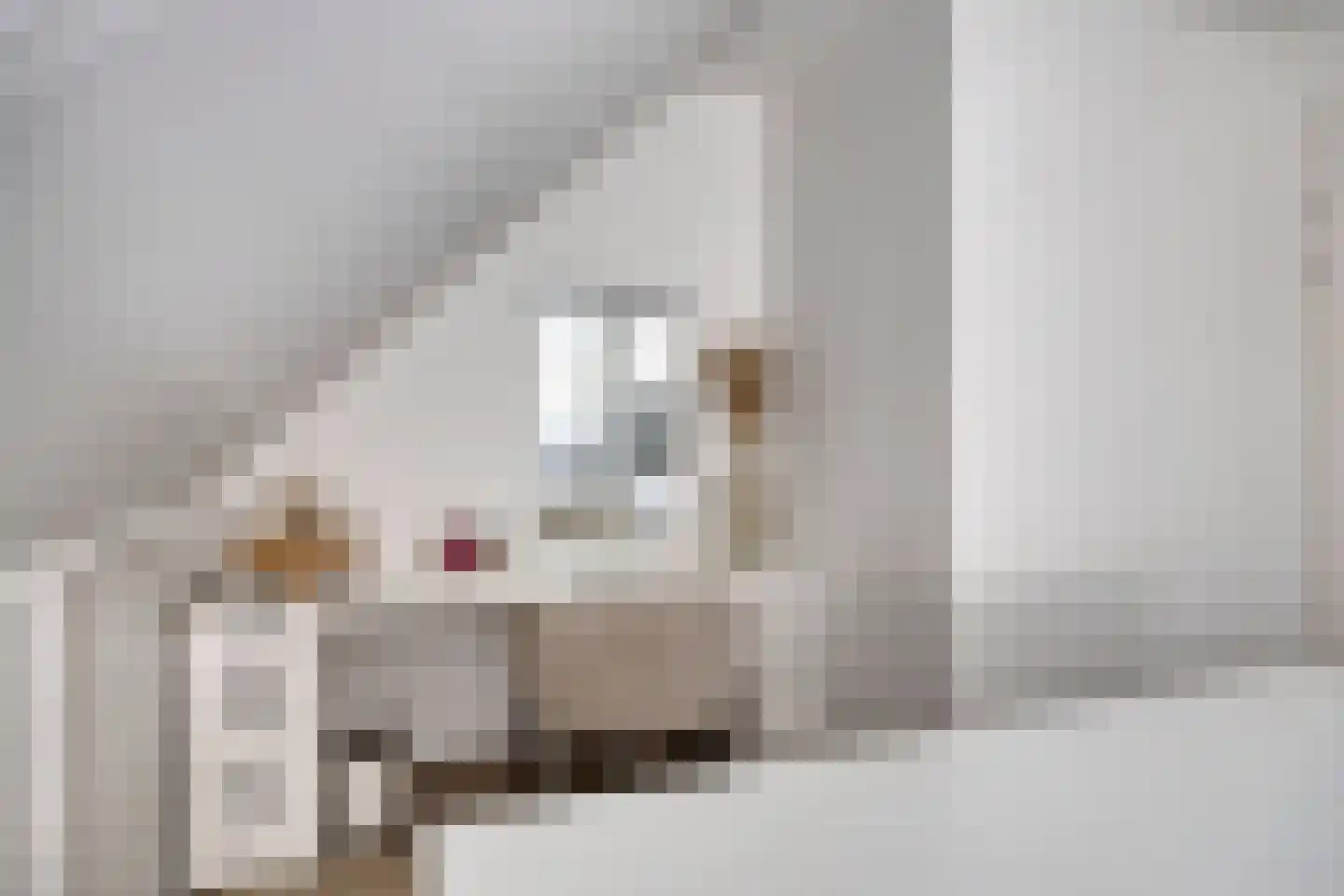 Zustershof 31 Oss thumbnail 41