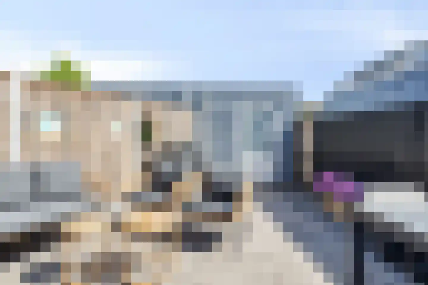 Zustershof 31 Oss thumbnail 42