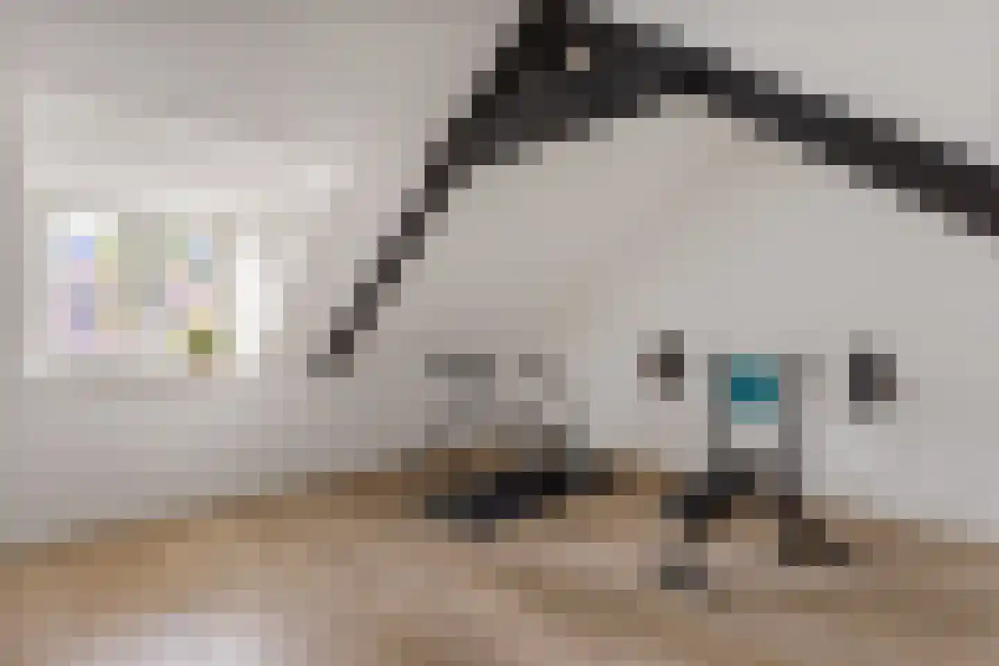 Zusterspädke 2 Vasse thumbnail 17