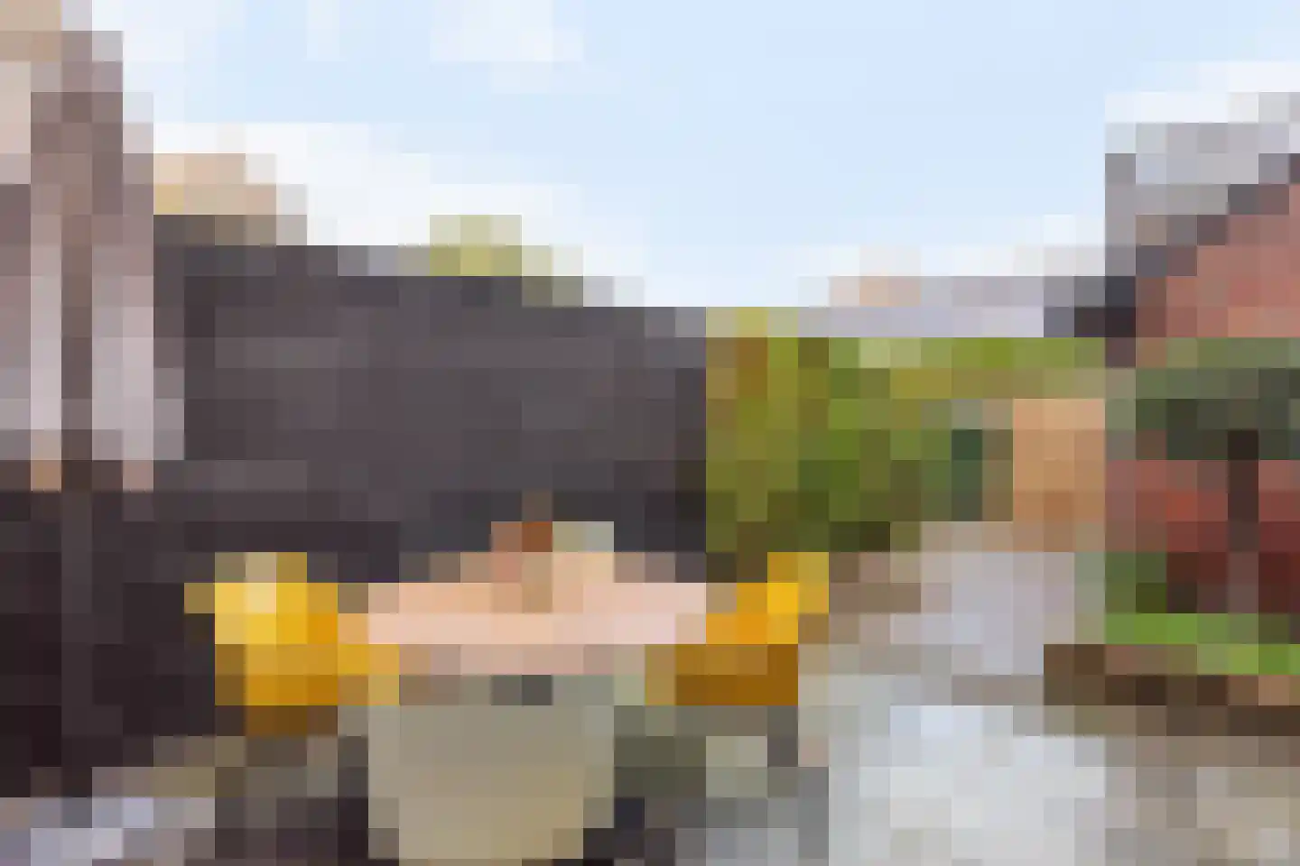 Zusterspädke 2 Vasse thumbnail 19