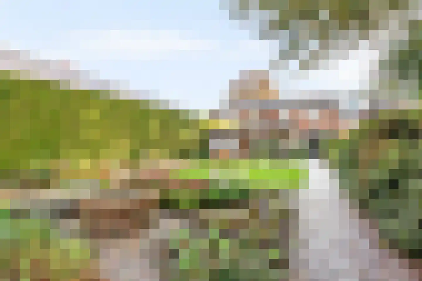 Zusterspädke 2 Vasse thumbnail 21