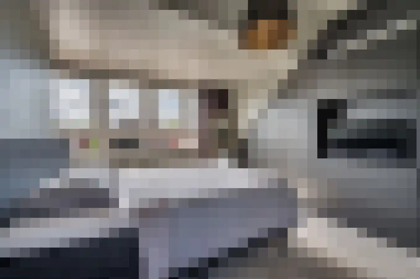 Zustersstraat 16 Venlo thumbnail 32