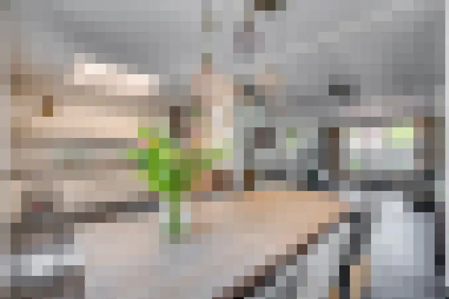 Zustersstraat 40 Venlo thumbnail 21