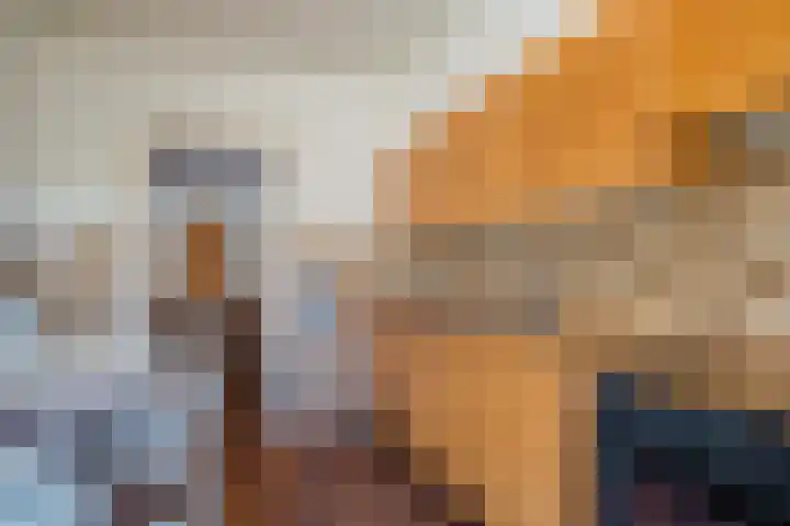 Zustersstraat 5 Steyl thumbnail 14