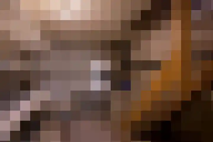 Zustersstraat 5 Steyl thumbnail 24