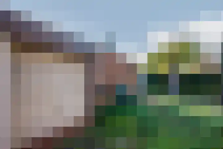 Zustersstraat 5 Steyl thumbnail 30