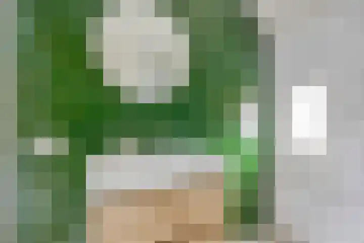 Zustersteeg 2 Heusden thumbnail 19