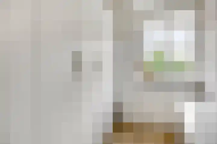 Zustersteeg 2 Heusden thumbnail 23
