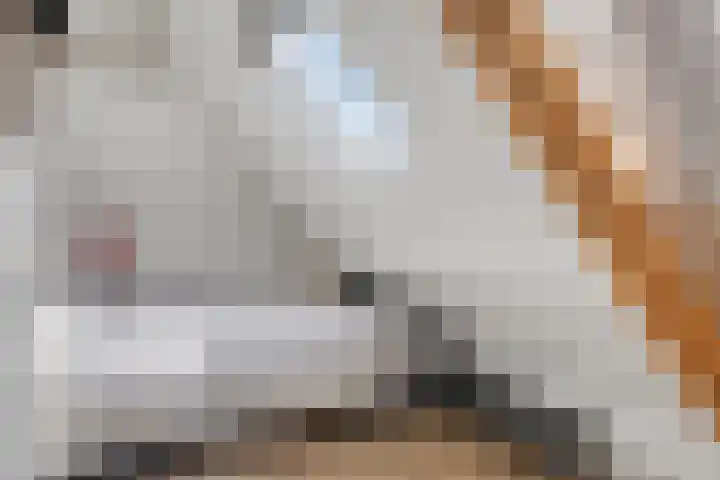 Zustersteeg 2 Heusden thumbnail 26