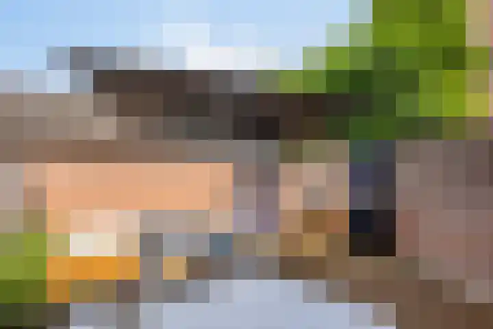 Zustersteeg 2 Heusden thumbnail 31