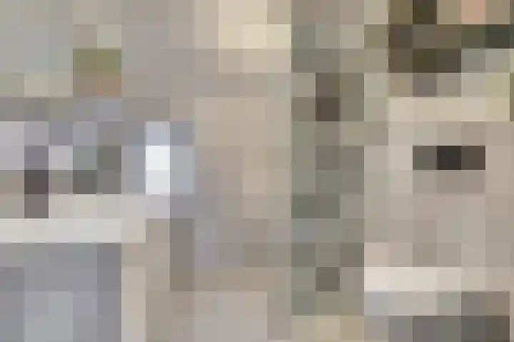 Zustersteeg 4 Heusden thumbnail 20