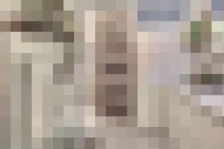 Zustersteeg 4 Heusden thumbnail 21