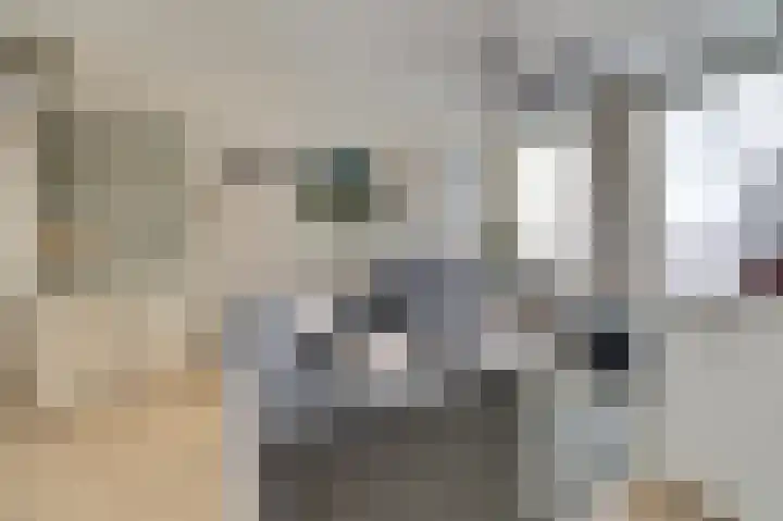 Zustersteeg 4 Heusden thumbnail 7