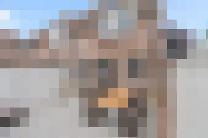 Zustersteeg 6 Heusden thumbnail 21