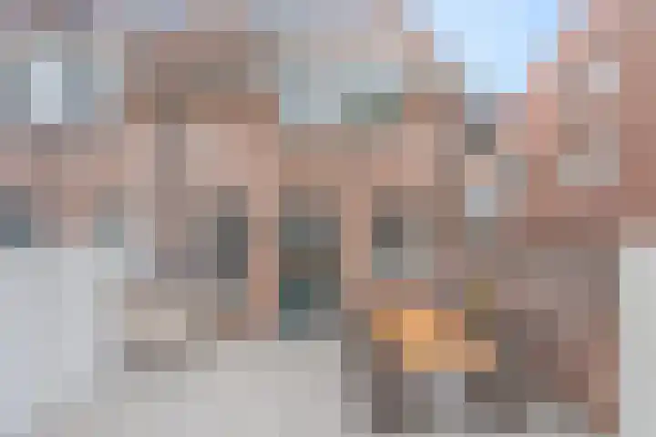 Zustersteeg 6 Heusden thumbnail 22